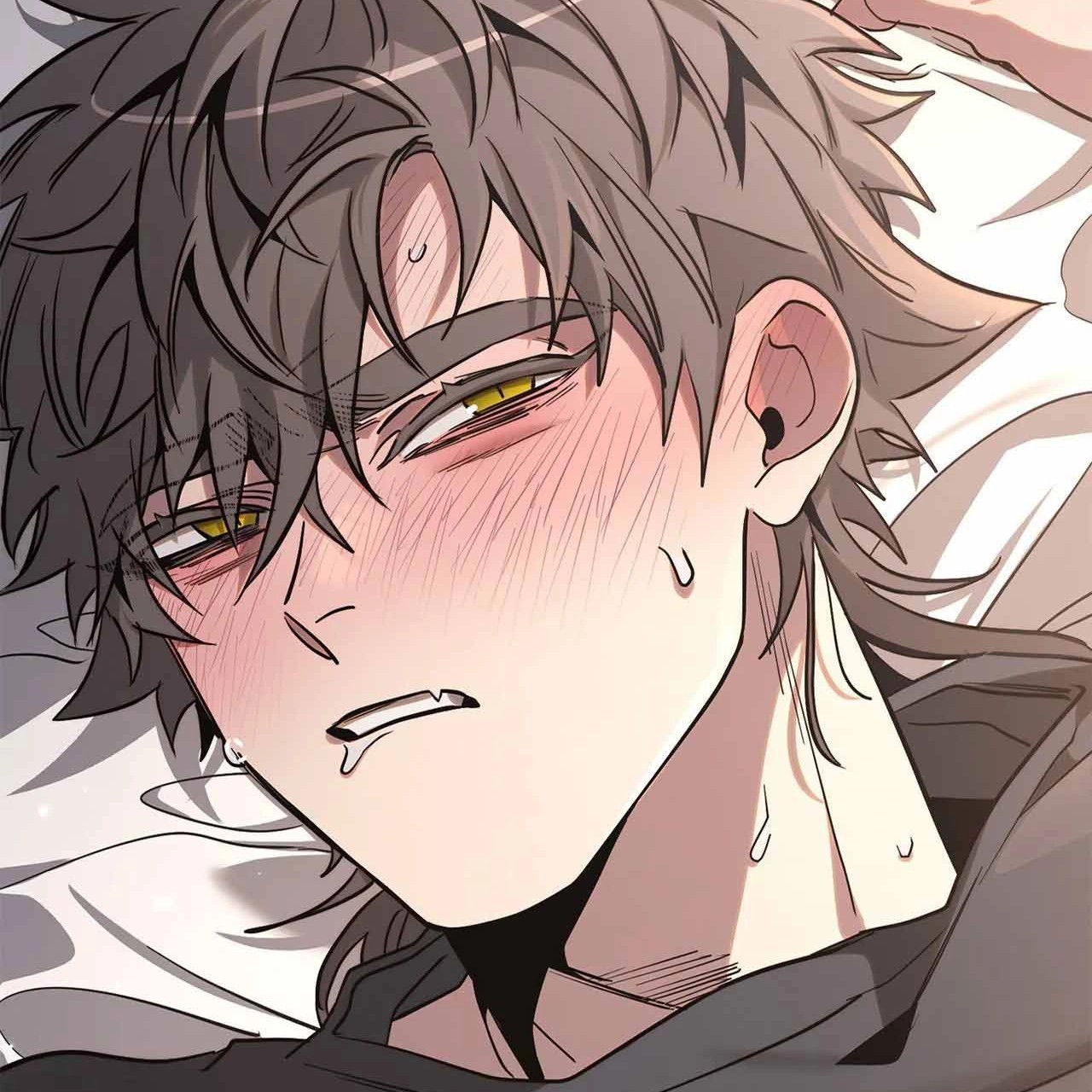 Portada Capítulo 13 🔞