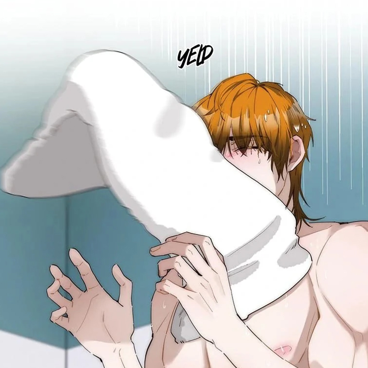 Portada Capítulo 27