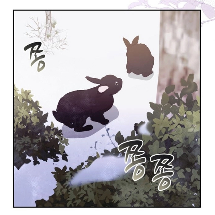 Portada Capítulo 14